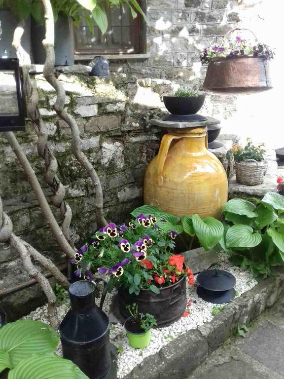 Traditional Rooms Karaouli Papingo Dış mekan fotoğraf